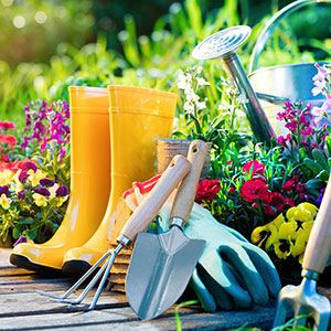 Gardening Tool